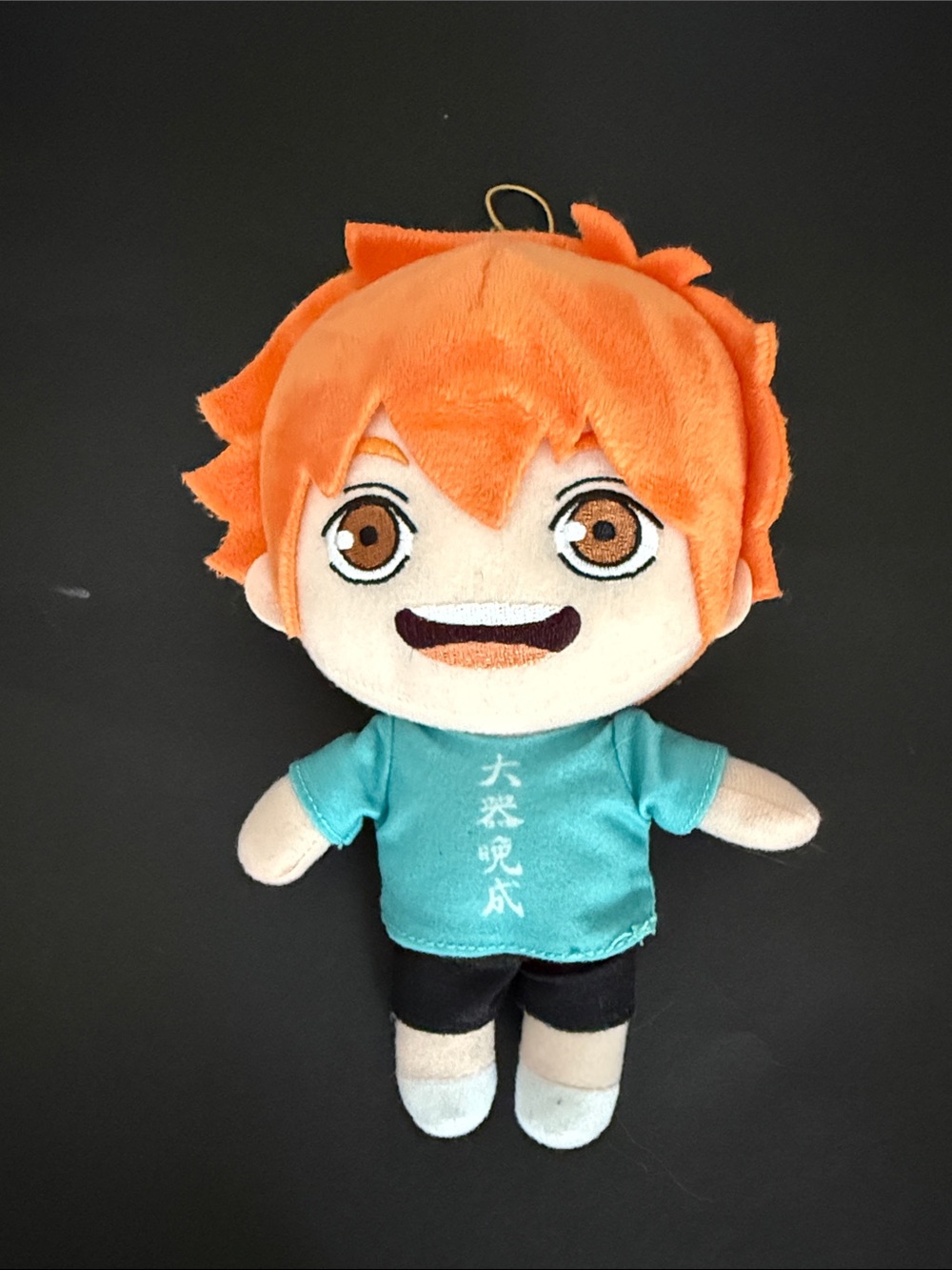 Haikyu!! S2 Shoyo Hinata Yojijukugo Plush